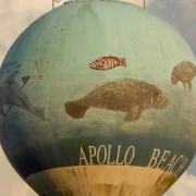 apollo beach