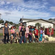 Hydroponic Gardening