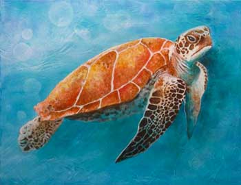 Sea Turtle Class: Acrylics