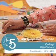 Studio 55 | Collage | TMA@Firehouse